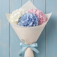 Букет цветов из:  Гортензия в Каргаске