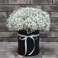 Цветочная композиция из Гипсофила в шляпной коробке #REPLACE_PRED# Каргаске