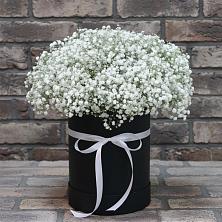Цветочная композиция из Гипсофила в шляпной коробке в Каргаске