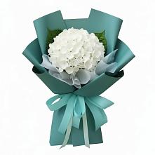 Букет цветов из:  Гортензия #REPLACE_PRED# Каргаске